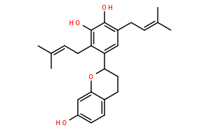 小构树醇A