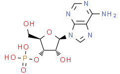 腺苷 3'-单磷酸