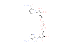 β-Nicotinamideadeninedinucleotidehydrate