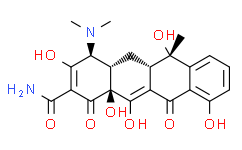 四环素/四环素碱/4-(二甲基氨基)-1,4,4A,5,5A,6,11,12A-八氢-3,6,10,12,12A-五羟基-6-甲基-1,11-二羰基-2-萘甲酰胺/Tetracycline