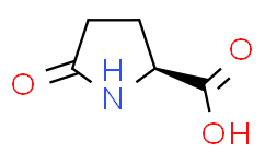 L-焦谷氨酸,98-79-3