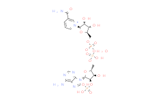 氧化型辅酶II(NADP)脱钠,53-59-8