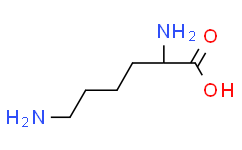 L-赖氨酸/L-2,6-二氨基己酸/L-己氨酸/L-松氨酸/L-Lysine