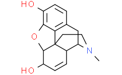 吗啡100 μg/mL in methanol, ampule of 1 mL