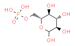 D-葡萄糖-6-磷酸