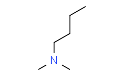 |N|，|N|-二甲基丁胺