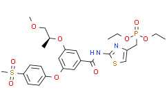 Glucokinase activator 3