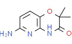 6-氨基-2,2-二甲基-2H,3H,4H-吡啶基[3,2-b] [1,4]恶嗪-3-酮