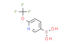 6-(三氟甲氧基)吡啶-3-硼酸