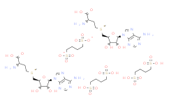 丁二磺酸腺苷蛋氨酸（SAM）