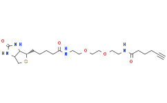 生物素-PEG2-C4-炔烃