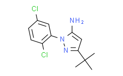 5-叔丁基-3-氨基-2-(2,5-二氯-苯基)-2H-吡唑