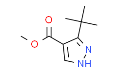 3-(叔丁基)-1H-吡唑-4-羧酸甲酯