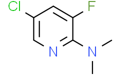 5-氯-2-(N,N-二甲基氨基)-3-氟吡啶