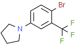 1-(4-溴-3-三氟甲基苯基)吡咯烷