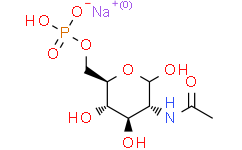 N-乙酰基-D-氨基葡萄糖-6-磷酸二钠盐