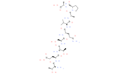 Rhodopsin Epitope Tag