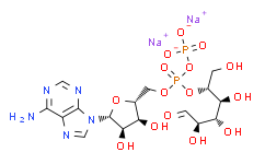 5'-二磷酸葡萄糖腺苷二钠盐/腺苷5'-二磷酸葡糖二钠/ADP-Glucose/ADP-glc/ADPG