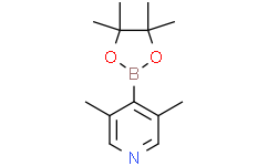 3，5-二甲基-4-(4，4，5，5-四甲基-1，3，2-二氧硼杂环戊烷-2-基)吡啶