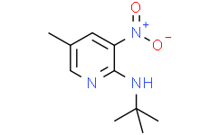 2-叔丁基氨基-5-甲基-3-硝基吡啶