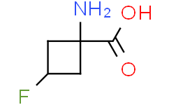 1-氨基-3-氟环丁烷-1-羧酸