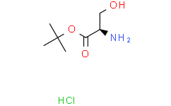 (R)-2-氨基-3-羟基丙酸叔丁酯盐酸盐
