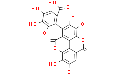 黄没食子酸二内酯