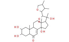 多孔菌甾酮B