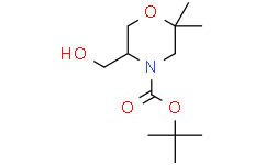 5-(羟甲基)-2,2-二甲基吗啉-4-羧酸叔丁酯