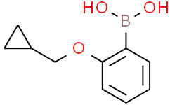 2-(环丙基甲氧基)苯基硼酸