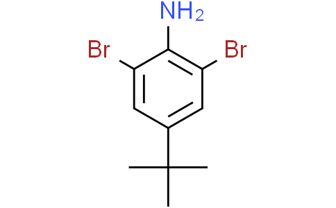 2,6-二溴-4-叔丁基苯胺