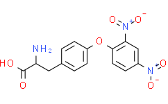O-单-2,4-DNP-L-酪氨酸