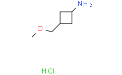 顺式(3-甲氧基甲基)环丁-1-胺盐酸盐