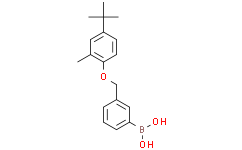 3-[(4′-叔丁基-2′-甲基苯氧基)甲基]苯基硼酸