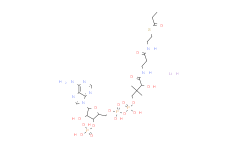 N-丙酰基辅酶 A 锂盐