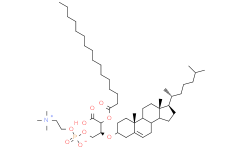 1-棕榈酰基-2-胆固醇基羰基-sn-甘油-3-磷酸胆碱
