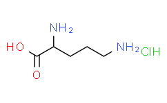 DL-鸟氨酸盐酸盐/DL-2,5-二氨基戊酸单盐酸盐/DL-氢氯鸟氨酸/DL-Ornithine HCL