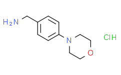 (4-吗啉苯基)甲胺盐酸盐