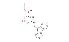 Nα-[(9H-芴-9-基甲氧基)羰基]-L-丝氨酸叔丁酯