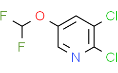 2,3-二氯-5-(二氟甲氧基)吡啶