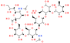 N-乙酰神经氨酸基-岩藻糖基乳糖-N-新四糖,来源于人乳