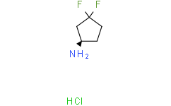 (1R)-3,3-二氟环戊烷-1-胺盐酸盐