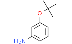 3-叔-丁氧基-苯胺
