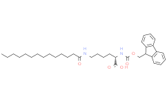 Nα-[(9H-芴-9-基甲氧基)羰基]-Nε-十四酰-L-赖氨酸