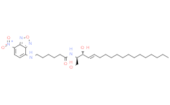 C-6 NBD-二氫神經(jīng)酰胺
