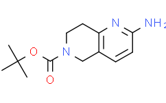 2-氨基-7,8-二氢-1,6-萘啶-6(5H)-羧酸叔丁酯