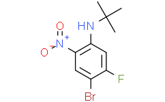 5-溴-2-(叔丁基氨基)-4-氟-1-硝基苯