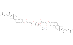 1,2-二胆固醇半琥珀酰-sn-甘油-3-磷酸胆碱