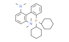 2'-(二环己基膦)-N2,N2,N6,N6-四甲基-[1,1'-联苯]-2,6-二胺