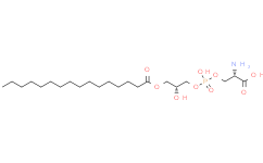 1-Hexadecanoyl-sn-glycero-3-phosphoserine